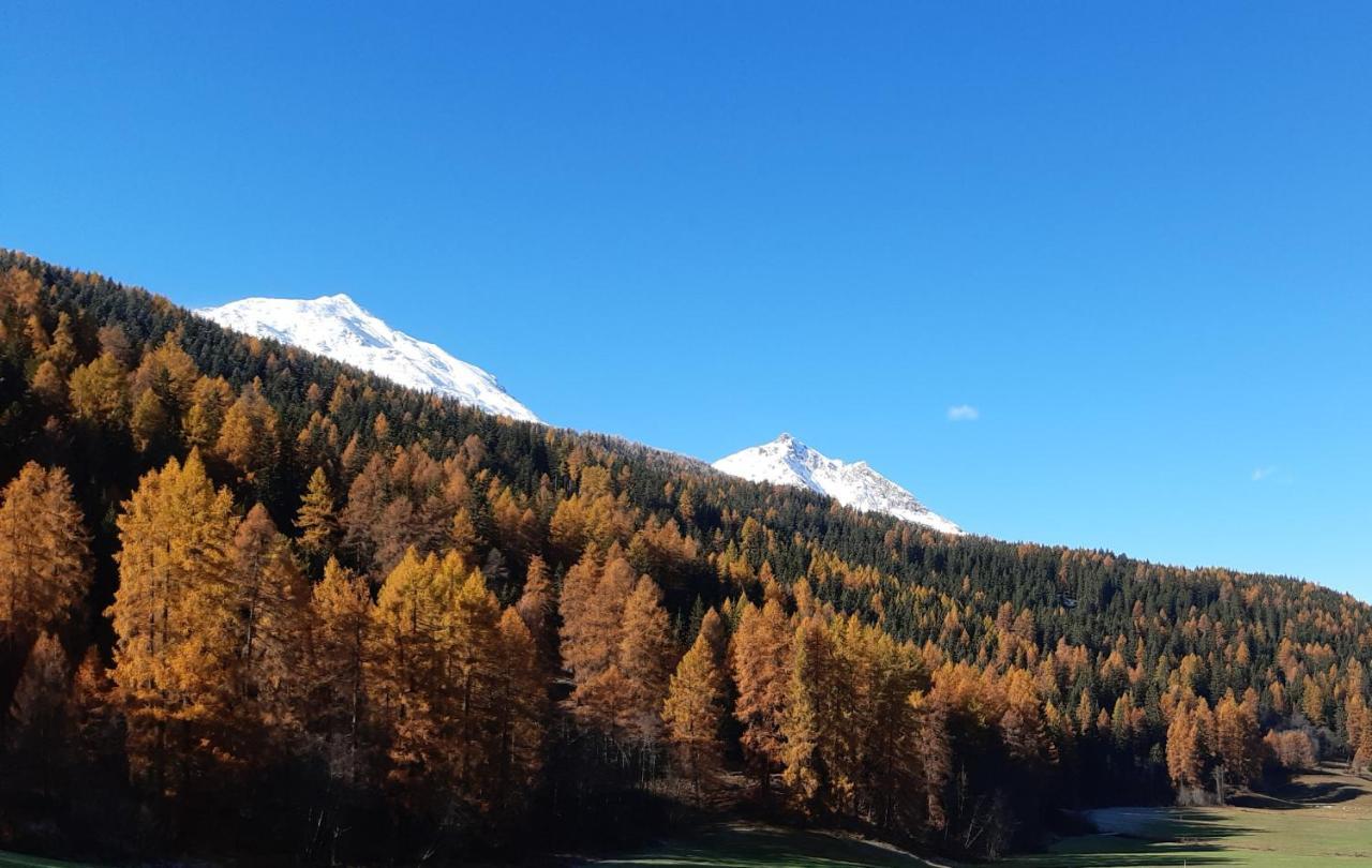 Fuldera Daint Chasa Zanoli Whg Im Zweiten Stock Bagian luar foto
