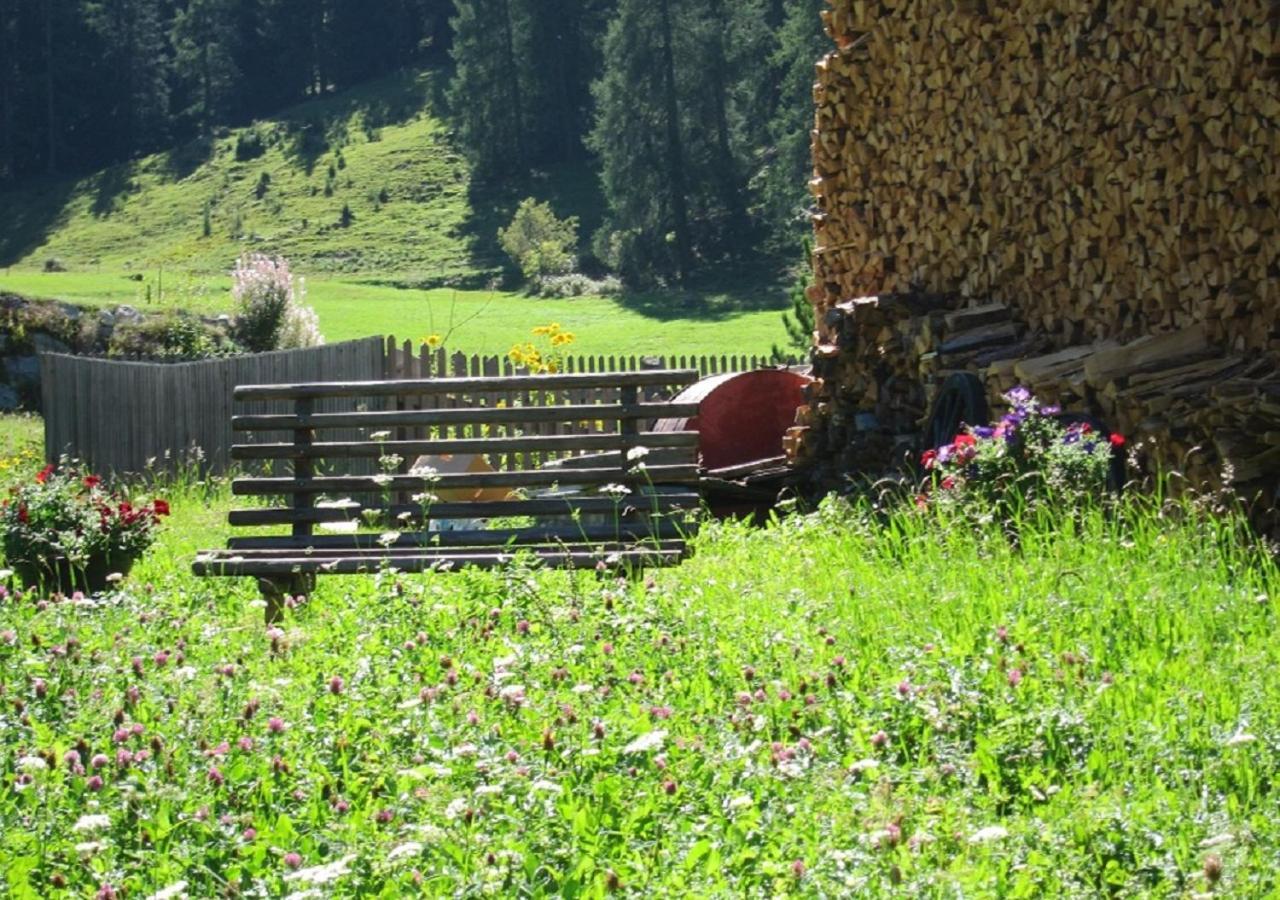 Fuldera Daint Chasa Zanoli Whg Im Zweiten Stock Bagian luar foto