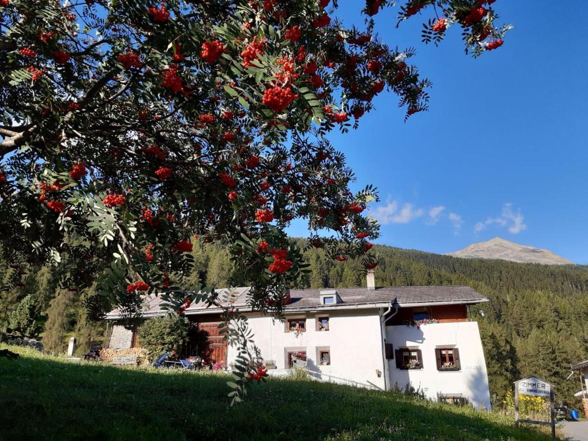 Fuldera Daint Chasa Zanoli Whg Im Zweiten Stock Bagian luar foto